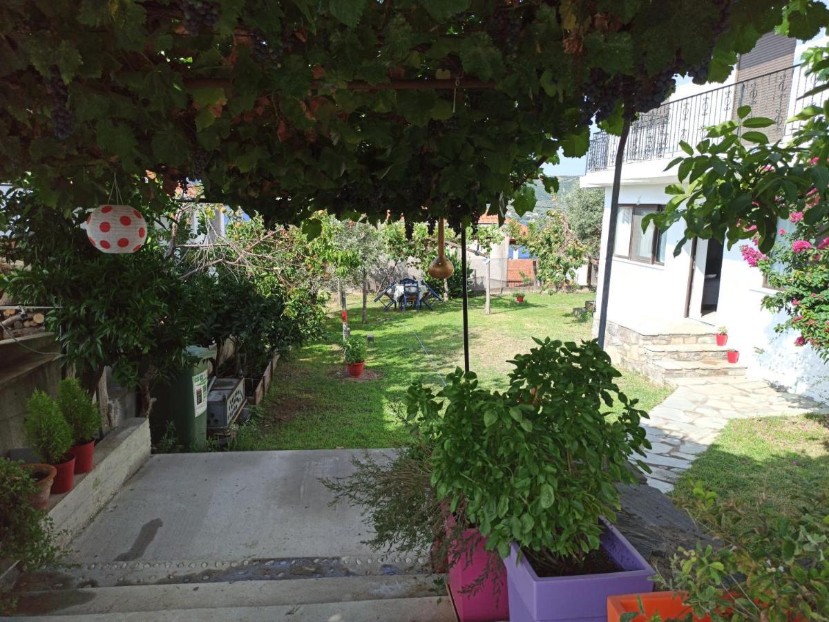 Dora'S House Comfortable Apartment With A Yard And View Pyrgadikia Exterior photo